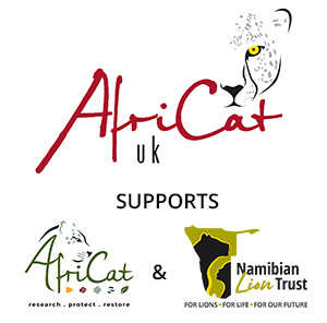 AfriCat UK supports both the AfriCat Foundation and the Namibian Lion Trust