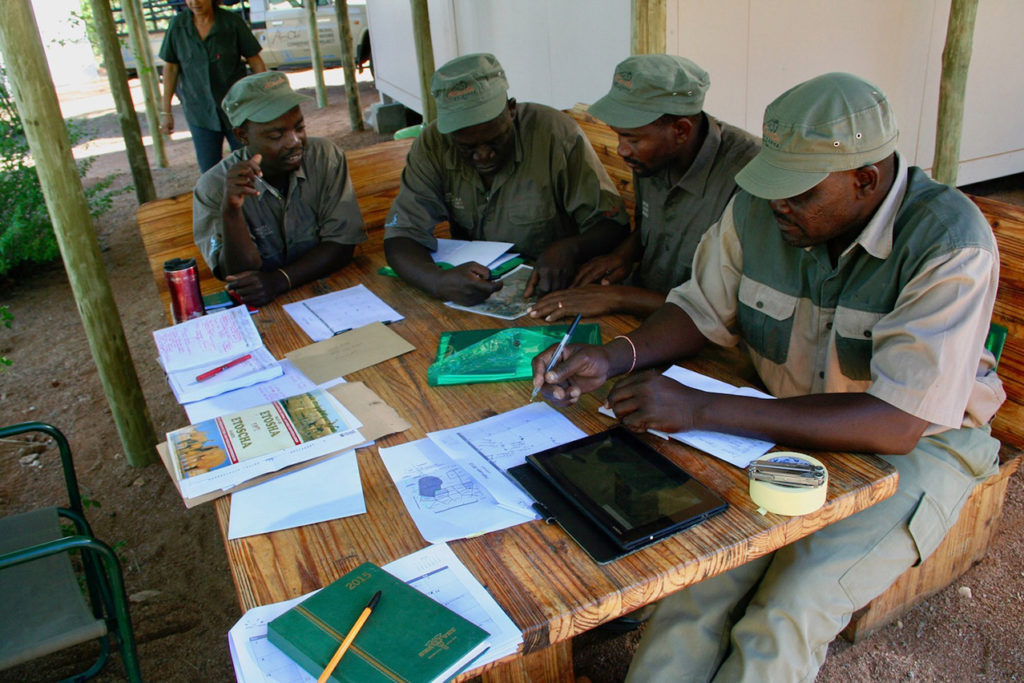 Namibian Lion Trust gaurds hard at work