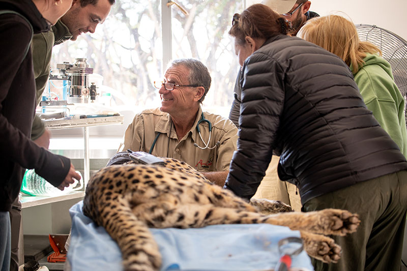 vet and behind the scenes visitors at Okonjima