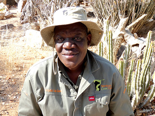 Senior Lion Guard of the Namibian Lion Trust Jackson