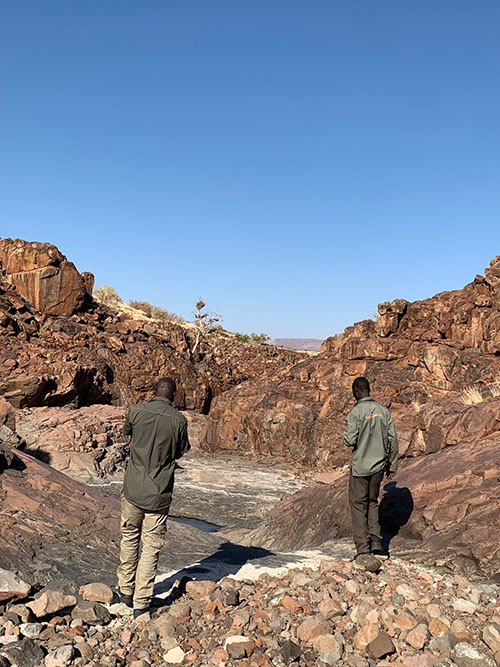 Lion Guards tracking in tough terrain in northern namibia