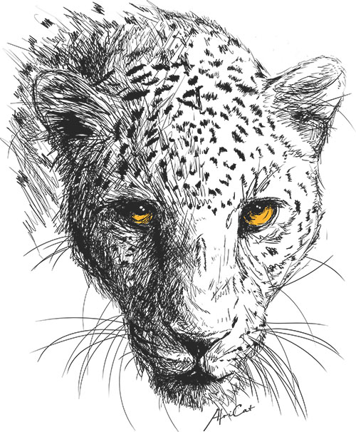 detailed drawing of a leopard face